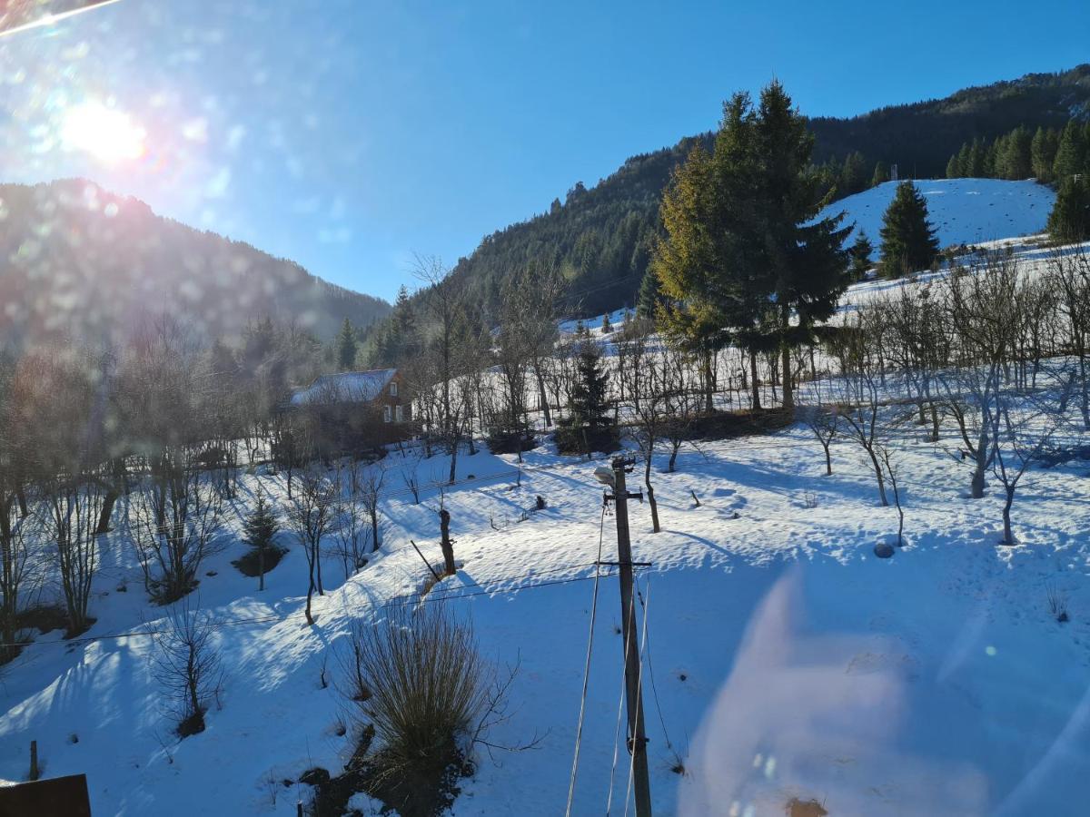 Penzion Mala Fatra U Durka Жиліна Екстер'єр фото